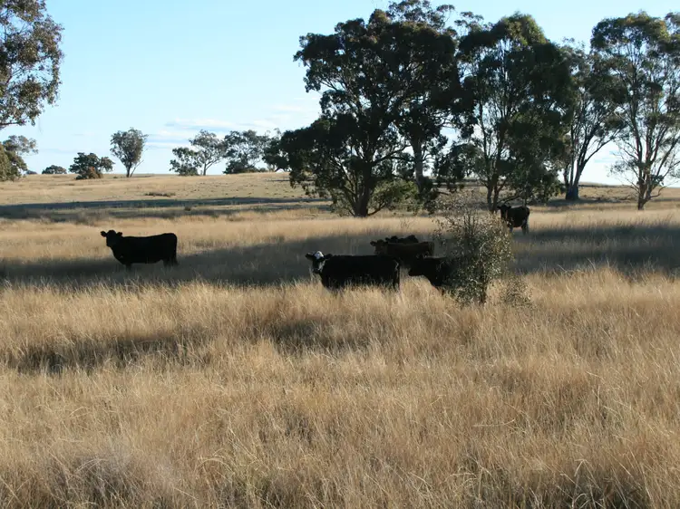 Lot 236 Loloma Road, Warwick QLD 4370