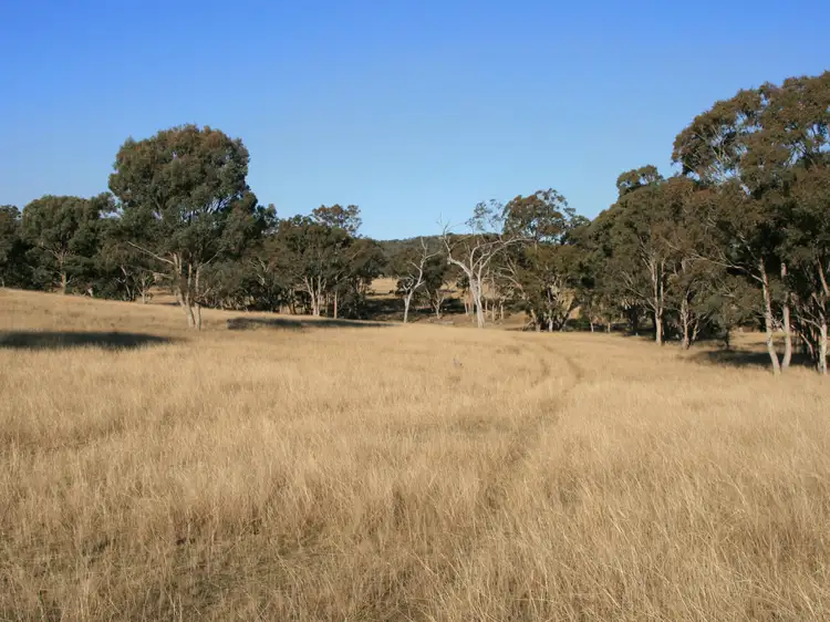 Second view of Homely rural property listing, Lot 236 Loloma Road, Warwick QLD 4370