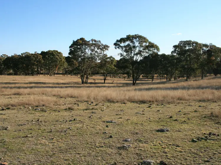 Third view of Homely rural property listing, Lot 236 Loloma Road, Warwick QLD 4370