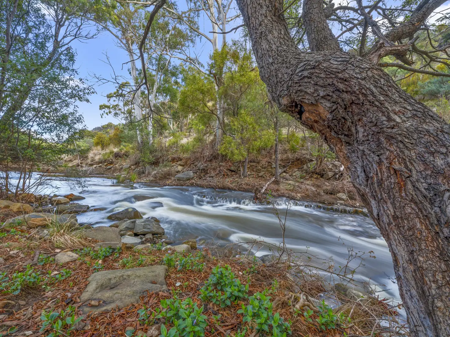 Main view of Homely land listing, 720 Molesworth Road, Molesworth TAS 7140