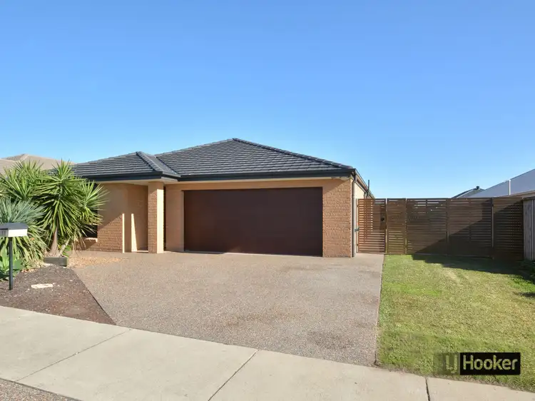 Main view of Homely house listing, 17 Mistfly Street, Chisholm NSW 2322