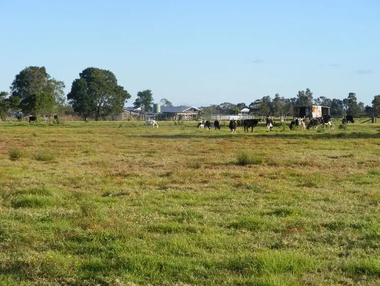 Second view of Homely rural property listing, 193 Boyters Lane, Jerseyville NSW 2431