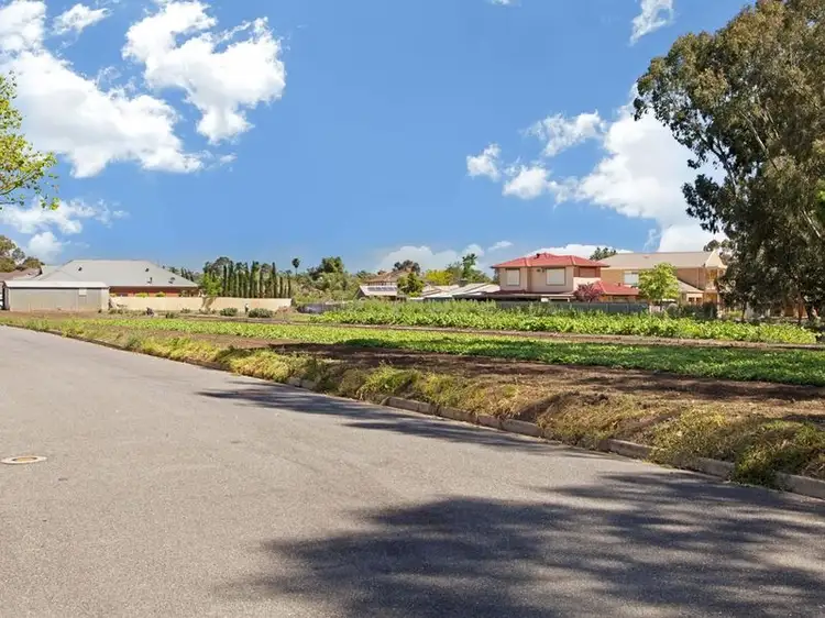 Fifth view of Homely land listing, 12 Lamary Avenue, Paradise SA 5075