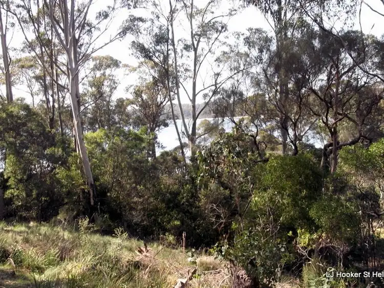 Fifth view of Homely land listing, 46 Tasman Highway, St Helens TAS 7216