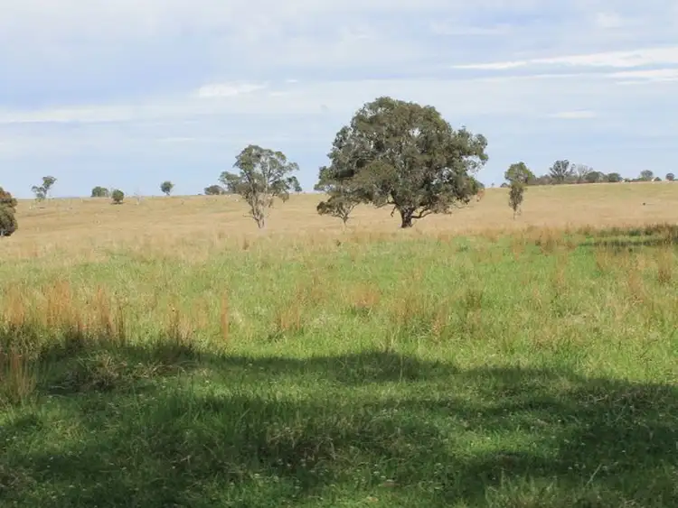 Second view of Homely rural property listing, Nine Mile Rd, Dundee NSW 2370