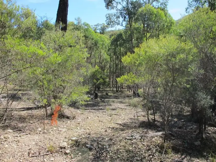 Second view of Homely rural property listing, 6/2285 Emmaville Road, Glen Innes NSW 2370