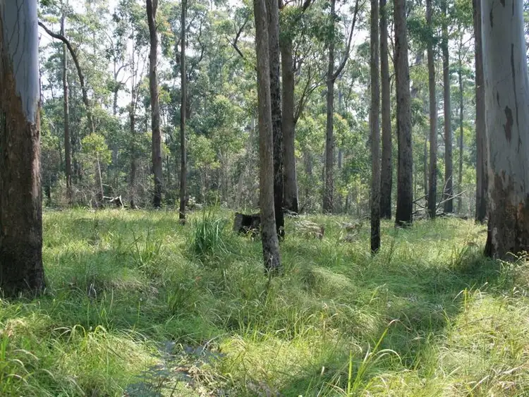 Second view of Homely rural property listing, Lot 73 Gambubal Road, Clintonvale QLD 4370