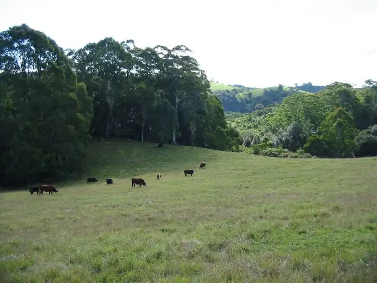 Second view of Homely rural property listing, 130 Hudsons Road, Megan NSW 2453