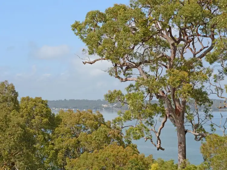 Main view of Homely house listing, 95 Lakeview Road, Wangi Wangi NSW 2267