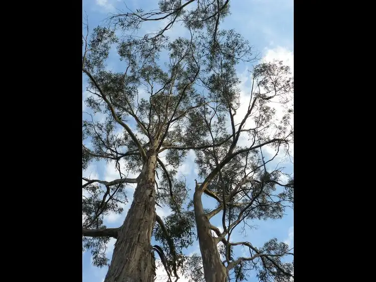 Seventh view of Homely land listing, 320 Tinderbox Road, Tinderbox TAS 7054