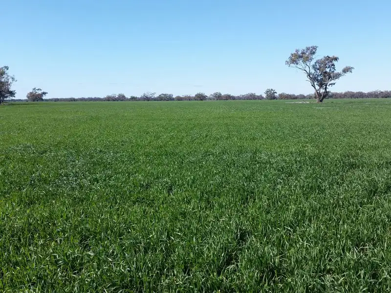 Main view of Homely rural property listing, 'Eulindra' Watercourse Road, Moree NSW 2400