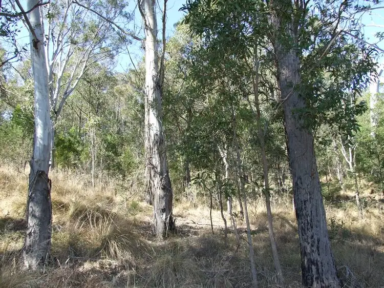Third view of Homely land listing, Lots 20 & Gillespie Street, Cobargo NSW 2550