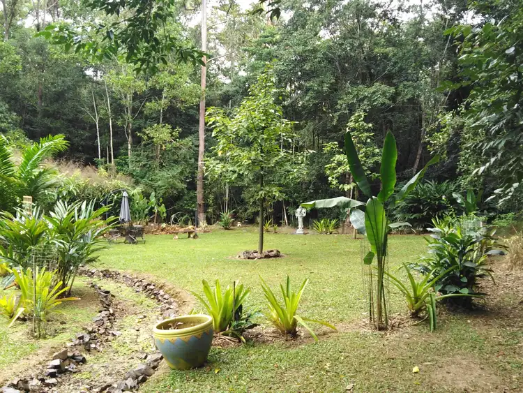 Fifth view of Homely house listing, 47 McLeans Bridge Road, Julatten QLD 4871