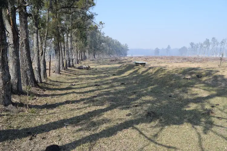 Second view of Homely rural property listing, 394 Omega Drive, Kungala NSW 2460