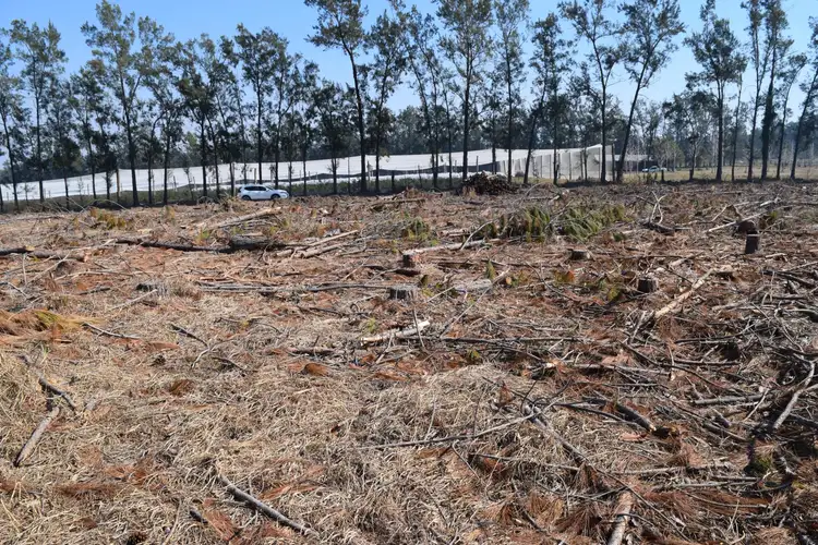 Third view of Homely rural property listing, 394 Omega Drive, Kungala NSW 2460