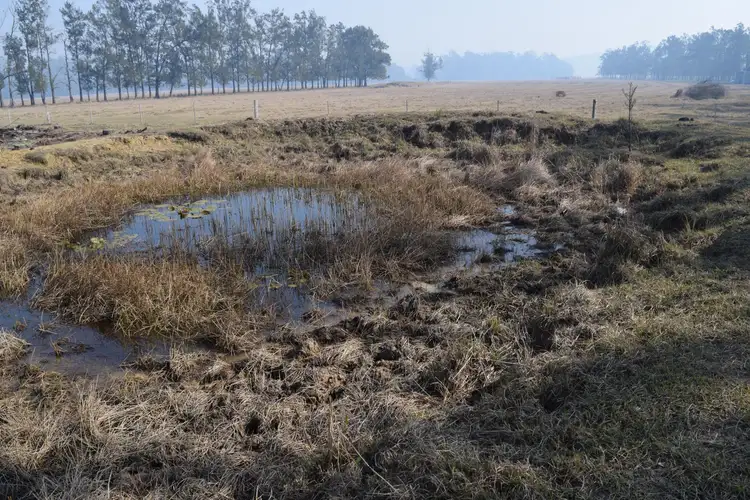 Fourth view of Homely rural property listing, 394 Omega Drive, Kungala NSW 2460