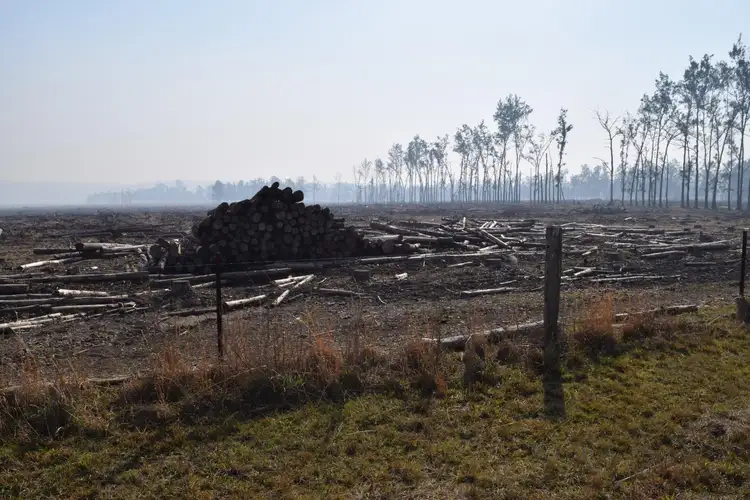 Fifth view of Homely rural property listing, 394 Omega Drive, Kungala NSW 2460