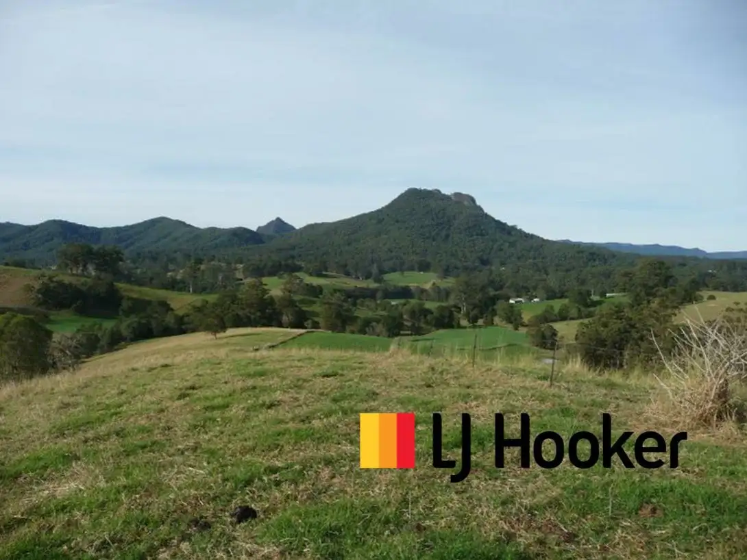 Main view of Homely rural property listing, 1843 Comboyne Road, Killabakh NSW 2429