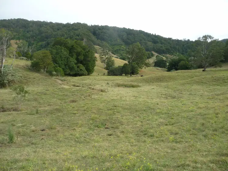 Third view of Homely rural property listing, 1843 Comboyne Road, Killabakh NSW 2429