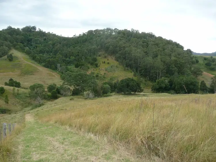 Seventh view of Homely rural property listing, 1843 Comboyne Road, Killabakh NSW 2429