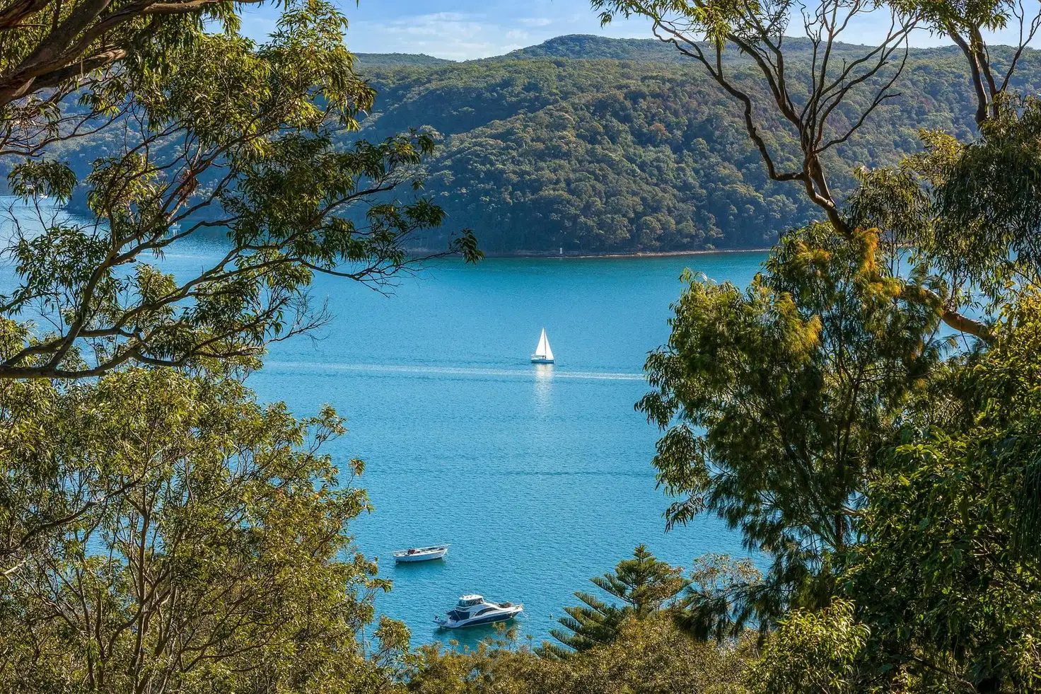 Main view of Homely house listing, 14 Capri Close, Avalon Beach NSW 2107