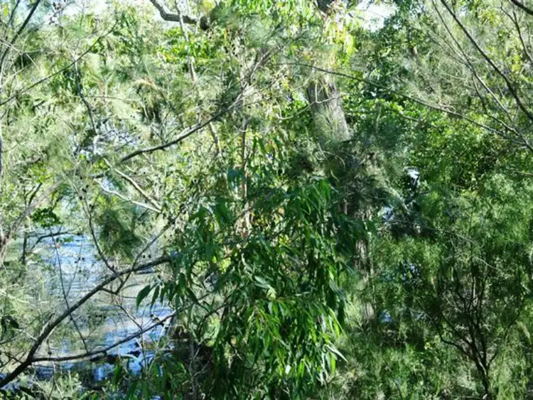 Seventh view of Homely land listing, 38 Calm Waters Crescent, Macleay Island QLD 4184