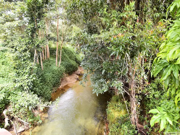 Sixth view of Homely land listing, L6 (L16) Midgenoo Feluga Road, Feluga QLD 4854