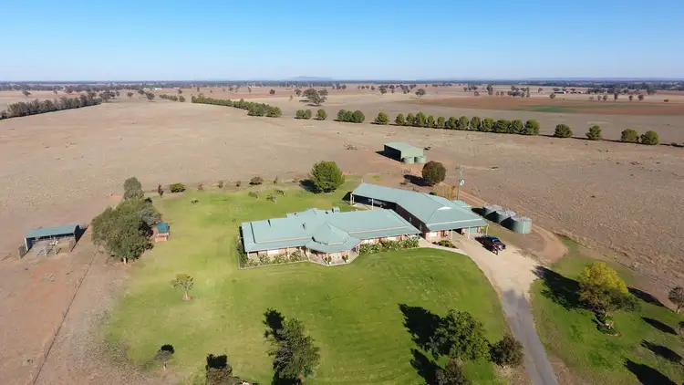 Fifth view of Homely rural property listing, 218 Wongajong Rd, Forbes NSW 2871