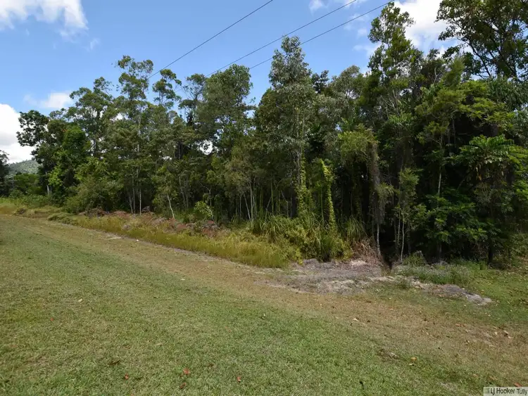 Third view of Homely land listing, LOT 2 East Feluga Road, East Feluga QLD 4854