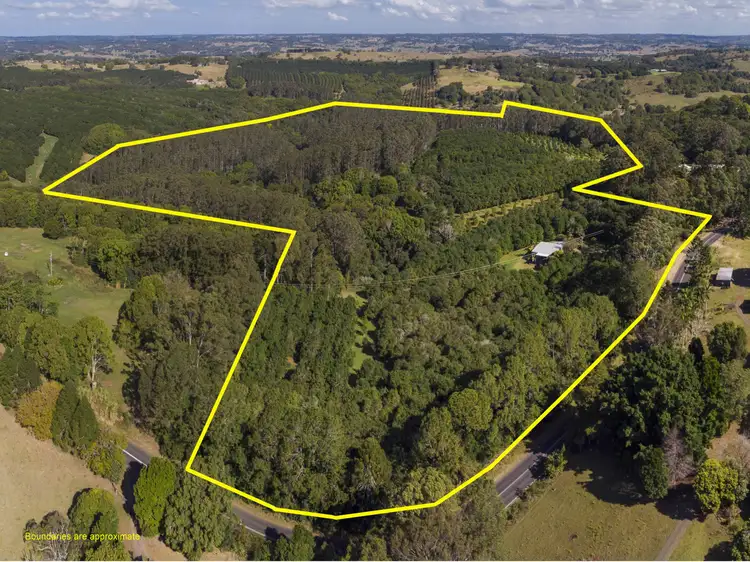 Fifth view of Homely rural property listing, 237 James Gibson Road, Clunes NSW 2480