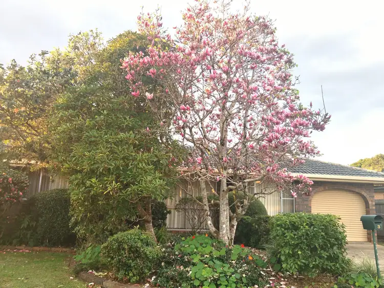 Second view of Homely house listing, 3 Maple Drive, Alstonville NSW 2477