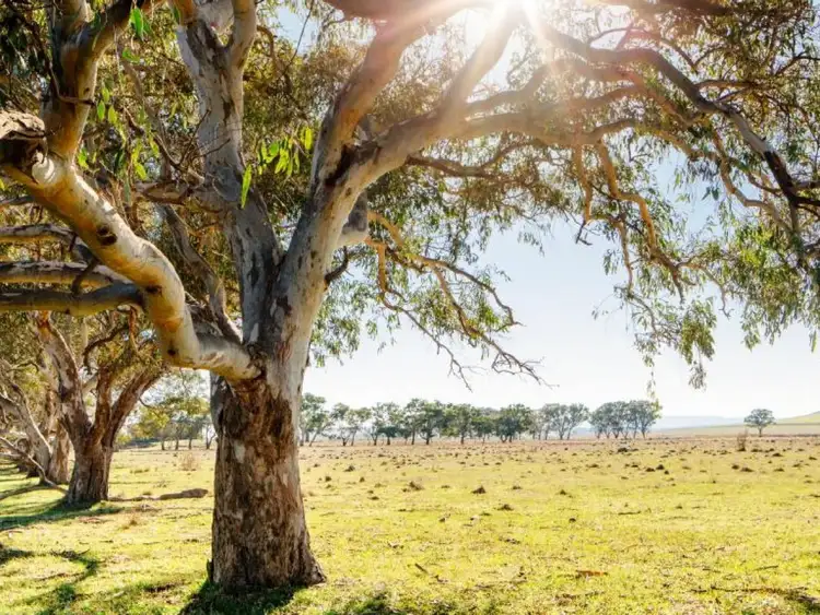 Second view of Homely land listing, 13 Coach Drive, Donnybrook VIC 3064