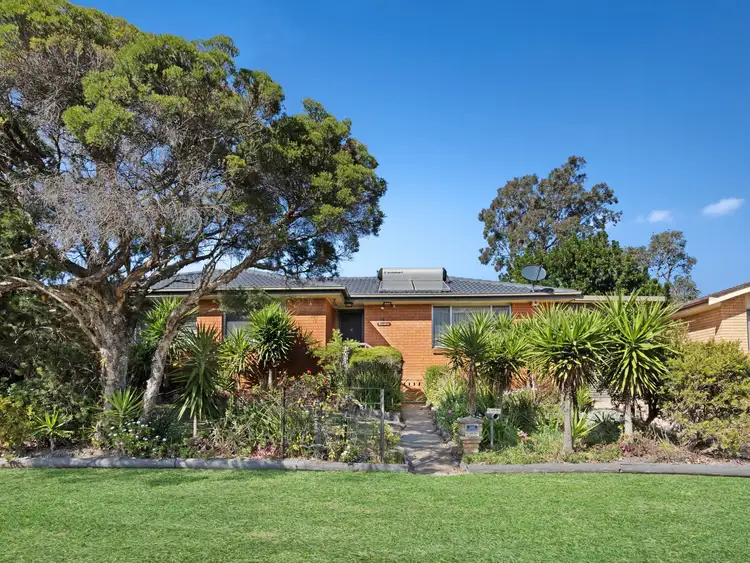 14 Stronach Avenue, East Maitland NSW 2323