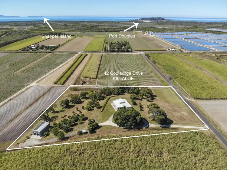 Fifth view of Homely house listing, 42 Coolalinga Drive, Port Douglas QLD 4877