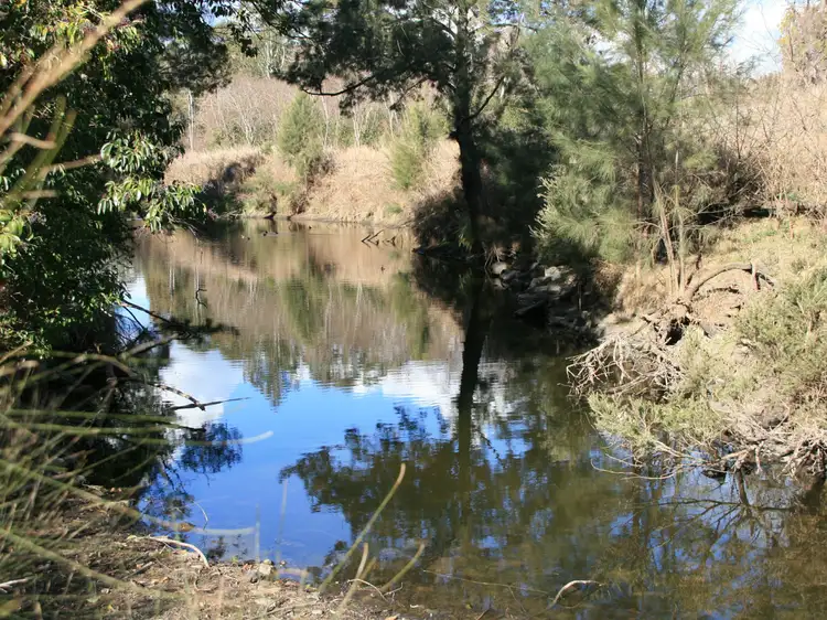 Main view of Homely rural property listing, 10409 Cunningham Highway, Maryvale QLD 4370