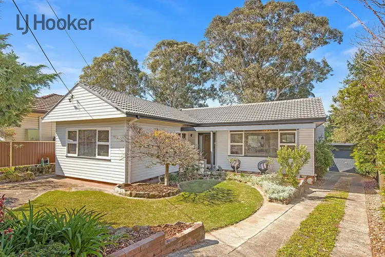 11 Treloar Crescent, Chester Hill NSW 2162