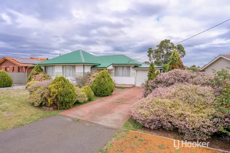 Main view of Homely house listing, 13 Carma Avenue, Collie WA 6225