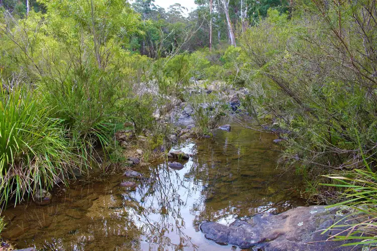 Second view of Homely rural property listing, 761 Burragate Road, Wyndham NSW 2550