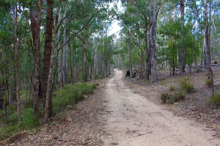 Third view of Homely rural property listing, 761 Burragate Road, Wyndham NSW 2550