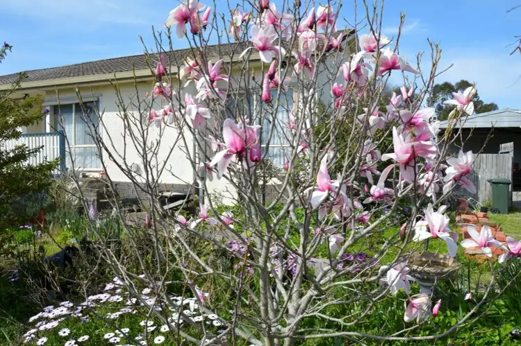 Fourth view of Homely house listing, 27 Latrobe Street, Rosedale VIC 3847