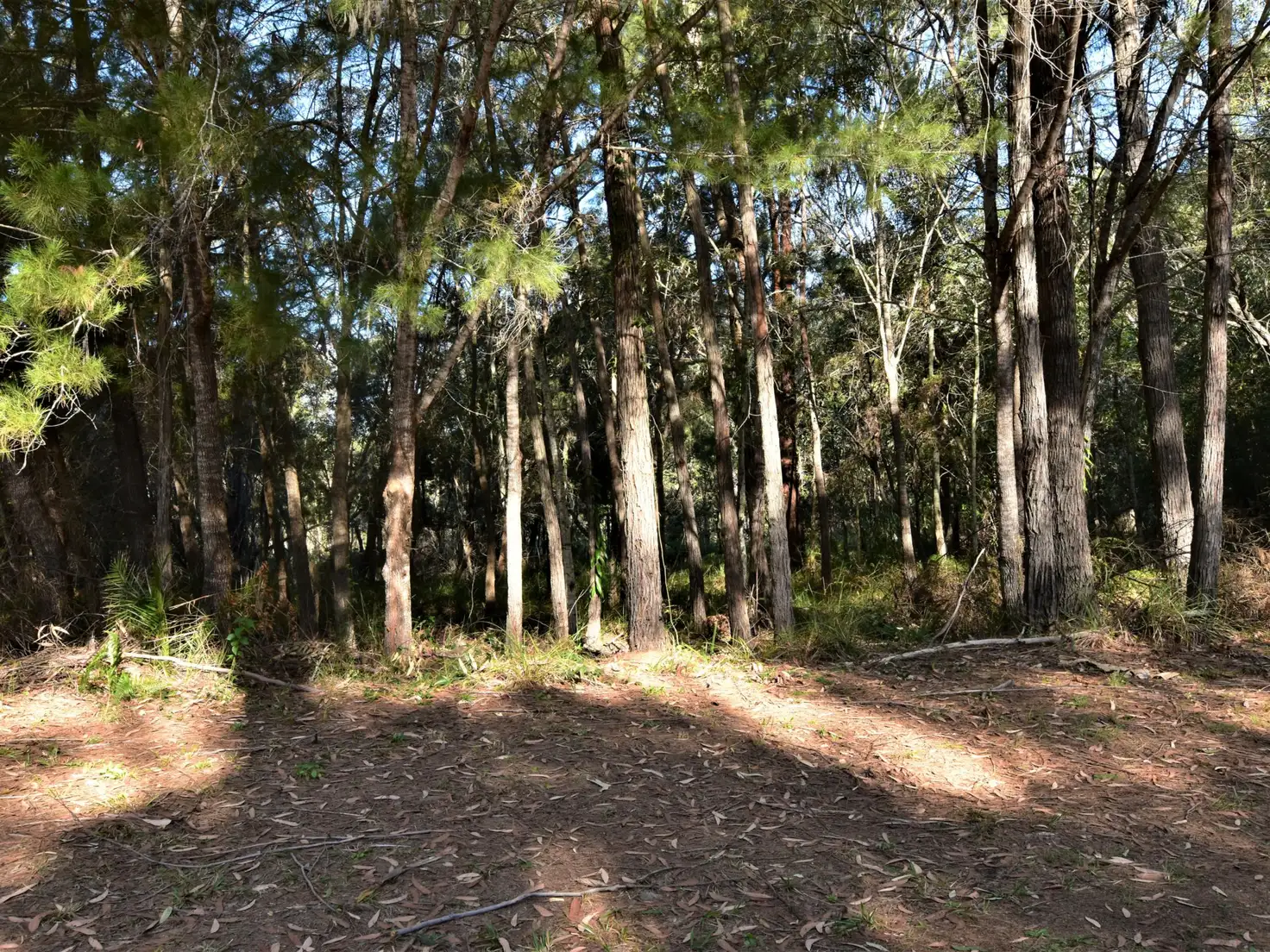 Main view of Homely land listing, 31 Catamaran Street, Russell Island QLD 4184