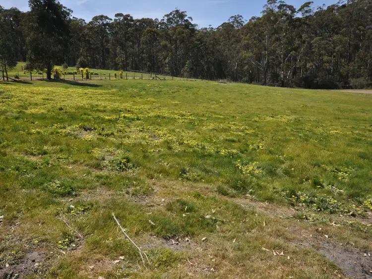 Seventh view of Homely rural property listing, 1455 Great Alpine Road, Sarsfield VIC 3875