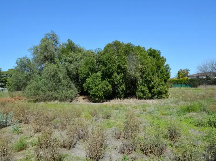 Third view of Homely land listing, 15 A Boonal Street, Singleton NSW 2330