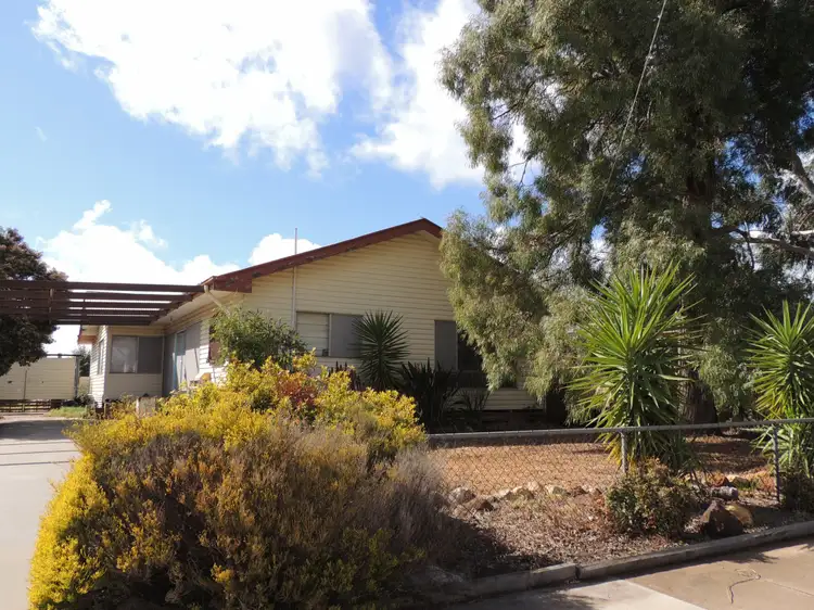 Main view of Homely house listing, 133 Thurla Street, Swan Hill VIC 3585