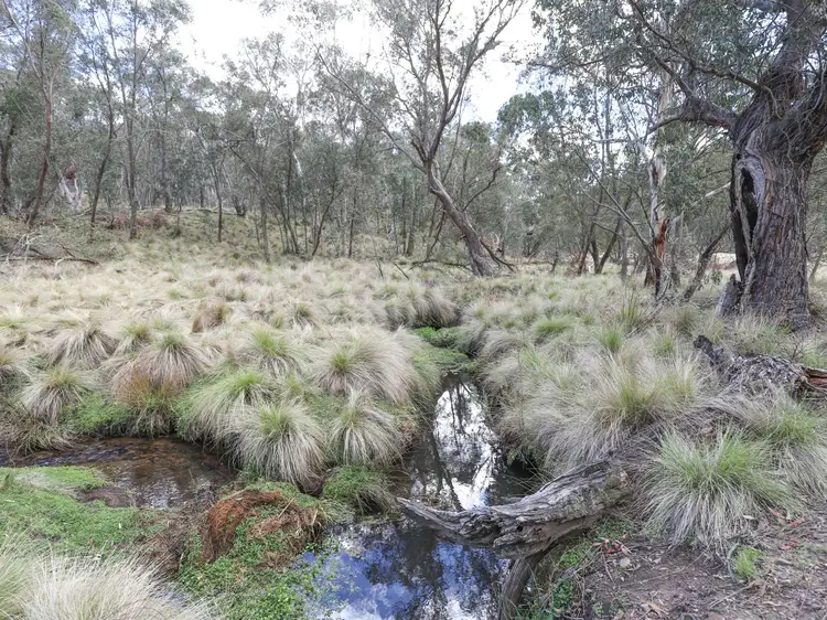 Fourth view of Homely rural property listing, Lot 14 Jaunter Road, Oberon NSW 2787