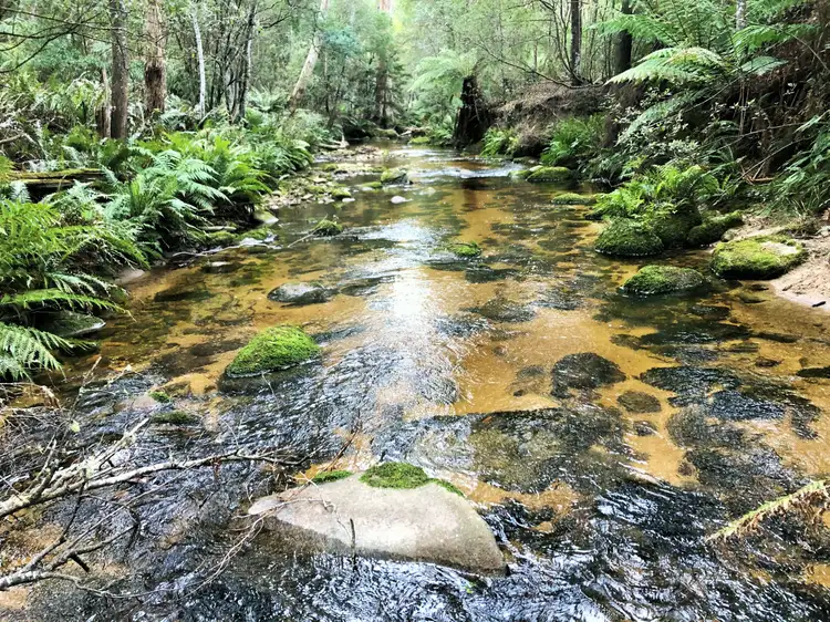 Third view of Homely land listing, PID 338323 Lottah Road, Goulds Country TAS 7216