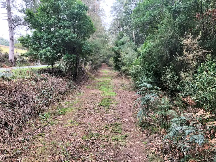 Fourth view of Homely land listing, PID 338323 Lottah Road, Goulds Country TAS 7216