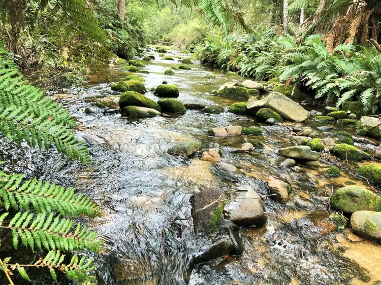 Fifth view of Homely land listing, PID 338323 Lottah Road, Goulds Country TAS 7216