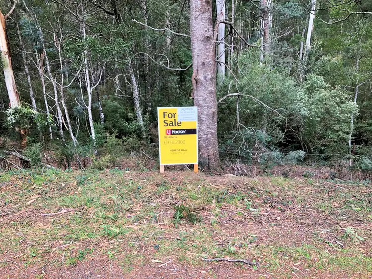 Sixth view of Homely land listing, PID 338323 Lottah Road, Goulds Country TAS 7216