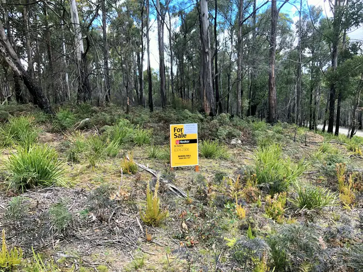 123 German Town Road, St Marys TAS 7215